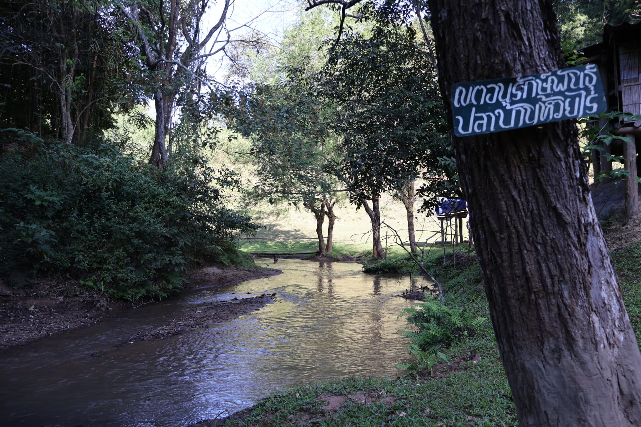 A protected fish conservation area in Ban Huai Rai.