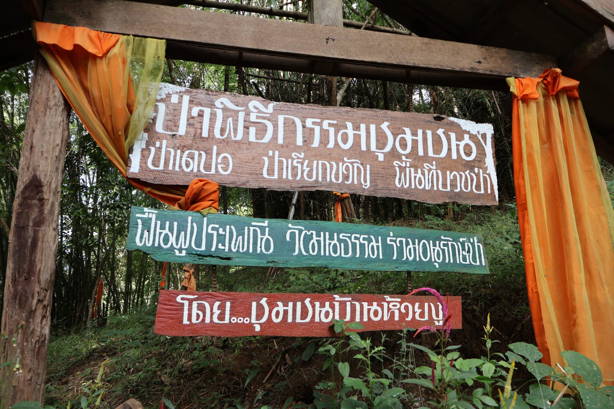 Entrance to the sacred forest at Ban Huay Ngu, a community-led effort to preserve nature, culture, and spiritual traditions.